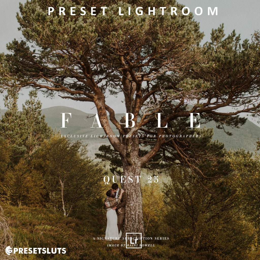 Archipelago QUEST 25 FABLE Lightroom Presets Desktop Android[ MICHIGO STUDIO ] - MICHIGO STUDIO