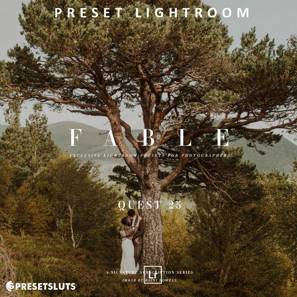Archipelago QUEST 25 FABLE Lightroom Presets Desktop Android