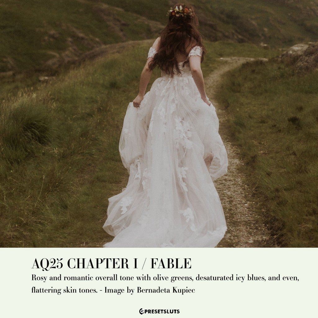 Archipelago QUEST 25 FABLE Lightroom Presets Desktop Android[ MICHIGO STUDIO ] - MICHIGO STUDIO