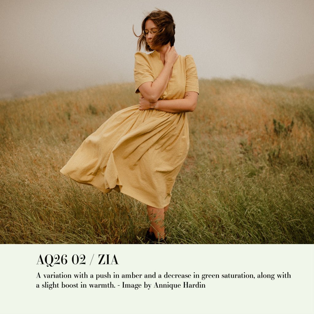 Archipelago QUEST 26 ZIA Lightroom Presets Desktop Android[ MICHIGO STUDIO ] - MICHIGO STUDIO
