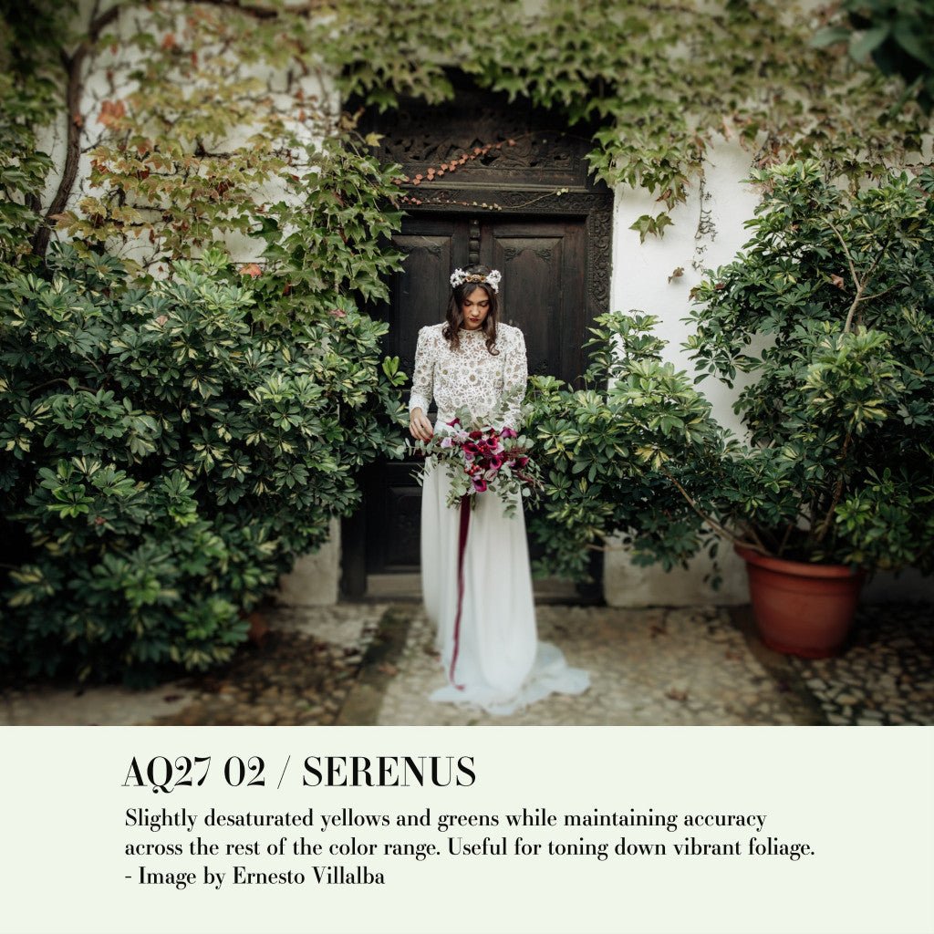 Archipelago QUEST 27 SERENUS Lightroom Presets Desktop Android[ MICHIGO STUDIO ] - MICHIGO STUDIO