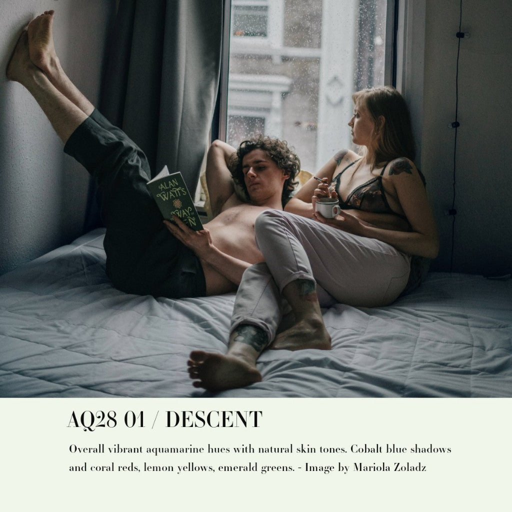 Archipelago QUEST 28 DESCENT Lightroom Presets Desktop Android[ MICHIGO STUDIO ] - MICHIGO STUDIO