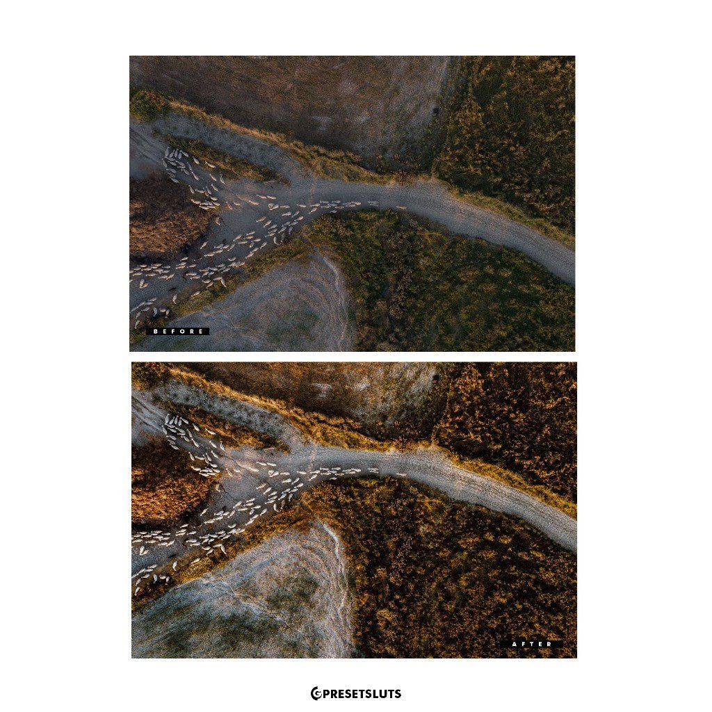 Archipelago - QUEST 29 ALTITUDE (New) Lightroom Presets Desktop Android[ MICHIGO STUDIO ] - MICHIGO STUDIO