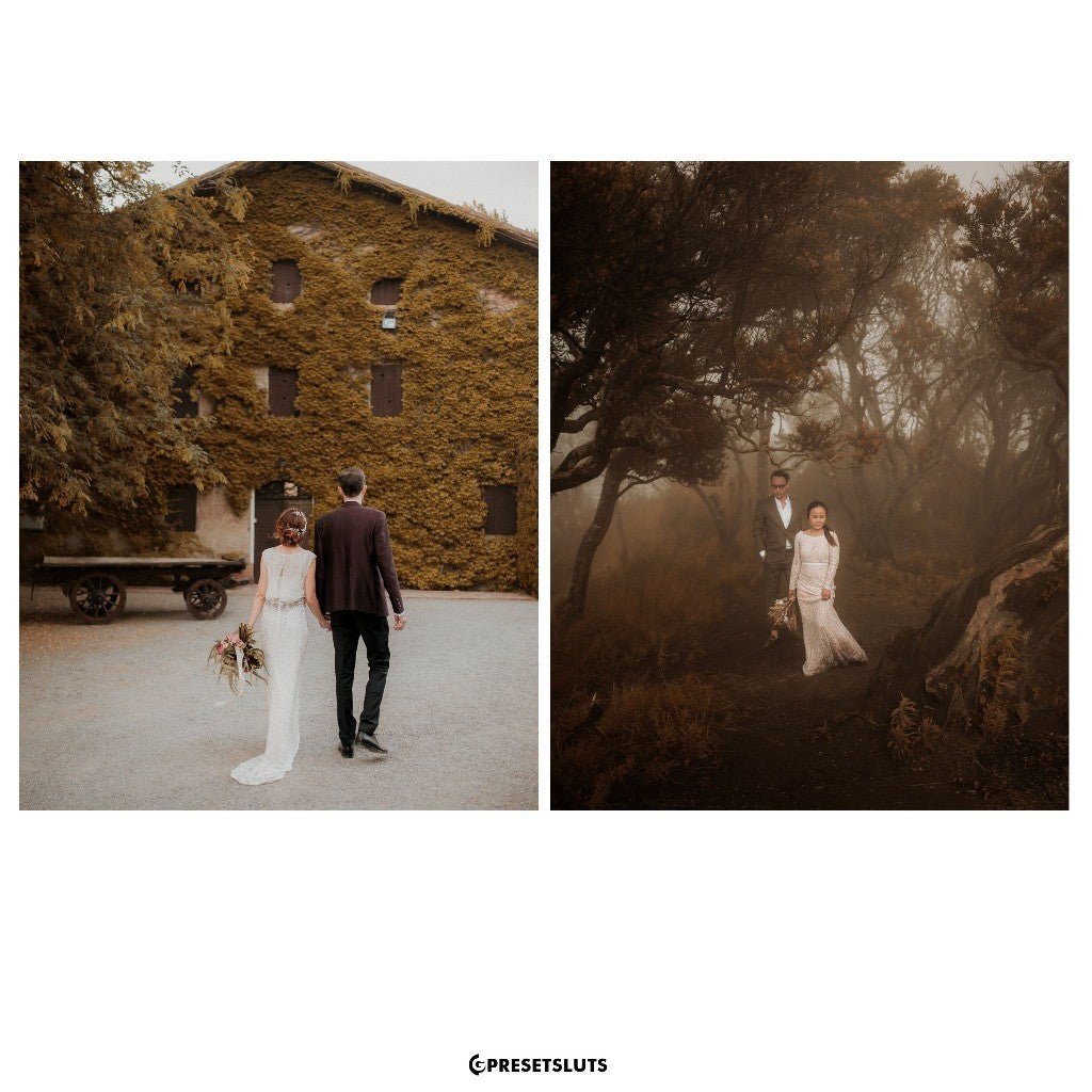 Archipelago - QUEST 30 AUTUMNAL (New) Lightroom Presets Desktop Android[ MICHIGO STUDIO ] - MICHIGO STUDIO