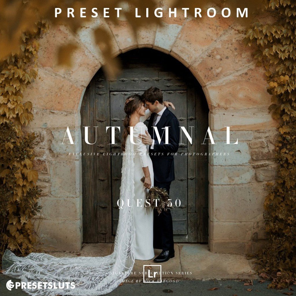Archipelago - QUEST 30 AUTUMNAL (New) Lightroom Presets Desktop Android[ MICHIGO STUDIO ] - MICHIGO STUDIO