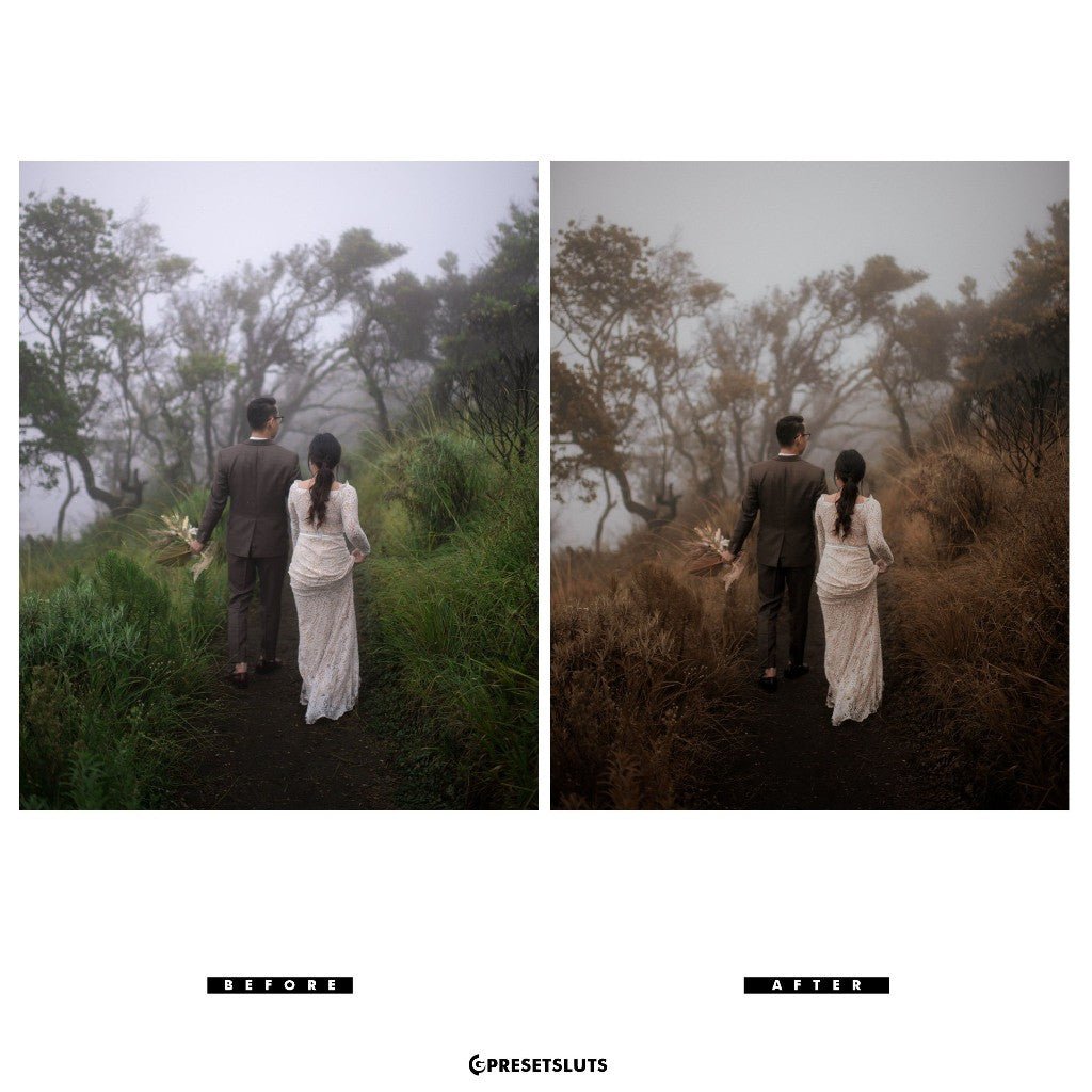 Archipelago - QUEST 30 AUTUMNAL (New) Lightroom Presets Desktop Android[ MICHIGO STUDIO ] - MICHIGO STUDIO
