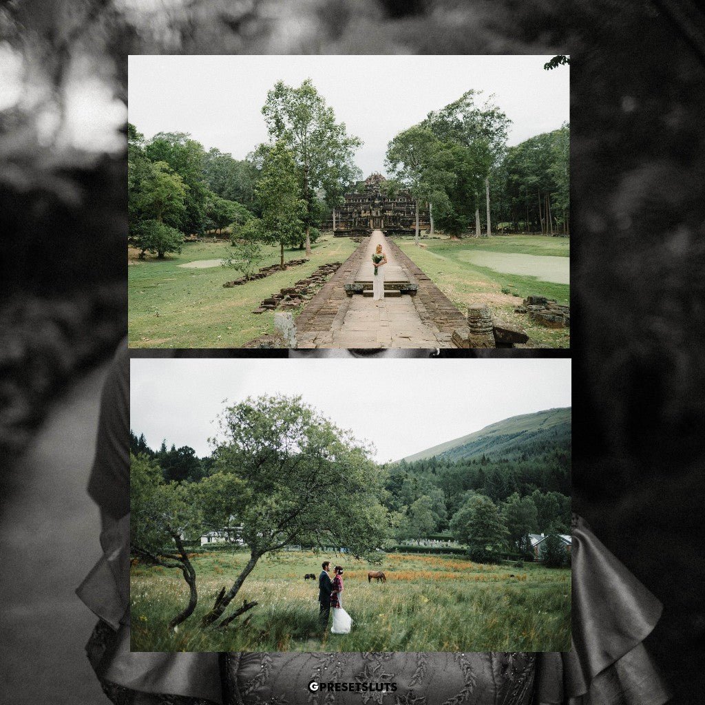 Archipelago - QUEST 36 BOTANICA Lightroom Presets Desktop Android[ MICHIGO STUDIO ] - MICHIGO STUDIO