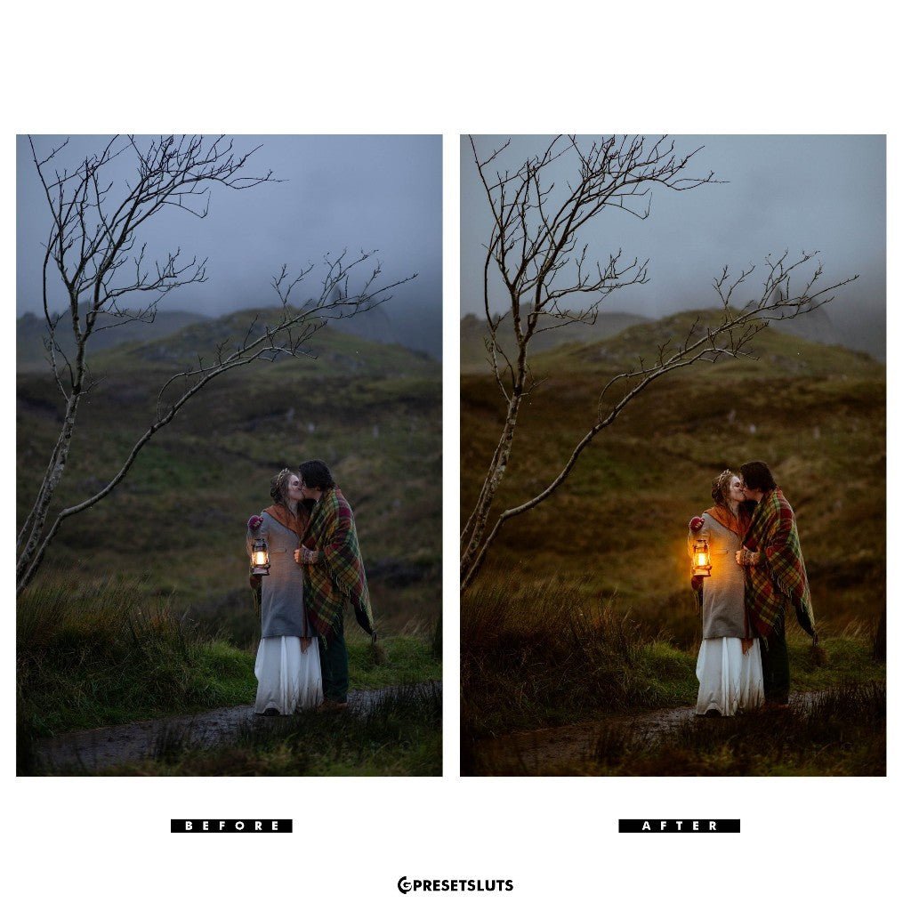 Archipelago - QUEST 39 DRIFTWOOD Lightroom Presets Desktop Android[ MICHIGO STUDIO ] - MICHIGO STUDIO