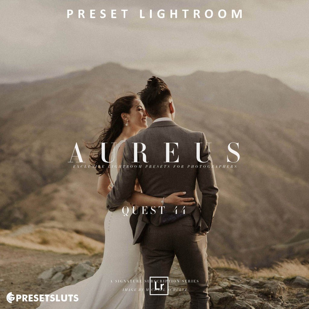 Archipelago - QUEST 44 Aureus Lightroom Preset Desktop Android[ MICHIGO STUDIO ] - MICHIGO STUDIO