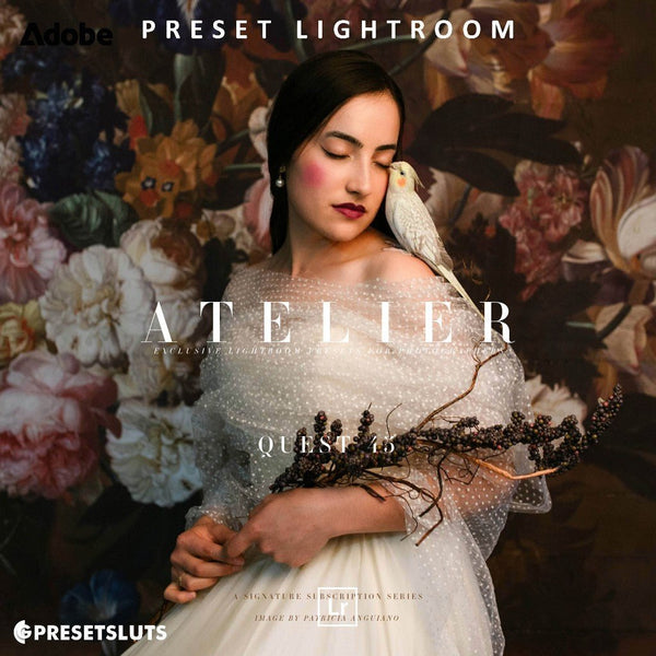 Archipelago - QUEST 45 Atelier Lightroom Preset Desktop Android