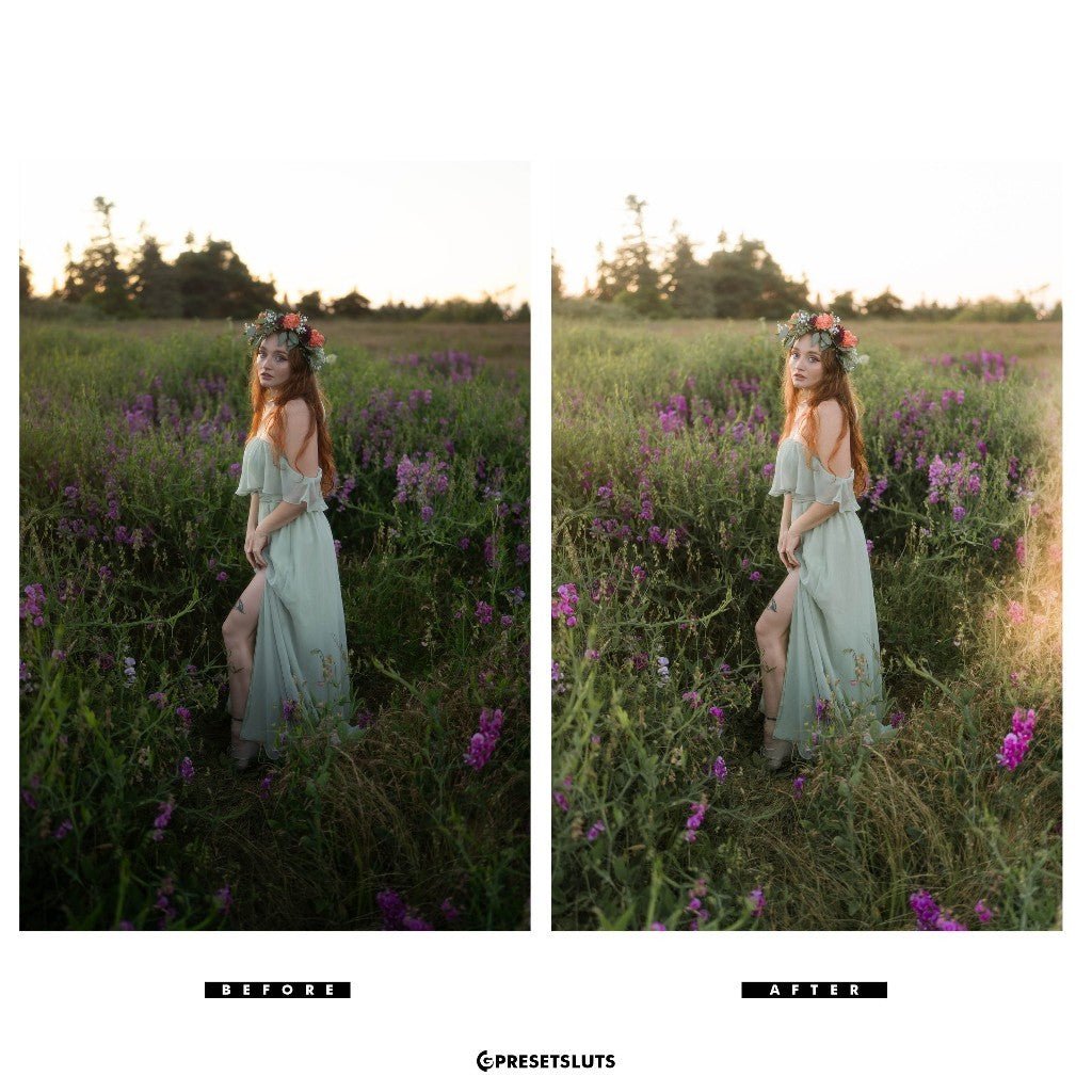 Archipelago - QUEST 46 CAMELLIA Lightroom Presets Desktop Android - MICHIGO STUDIO