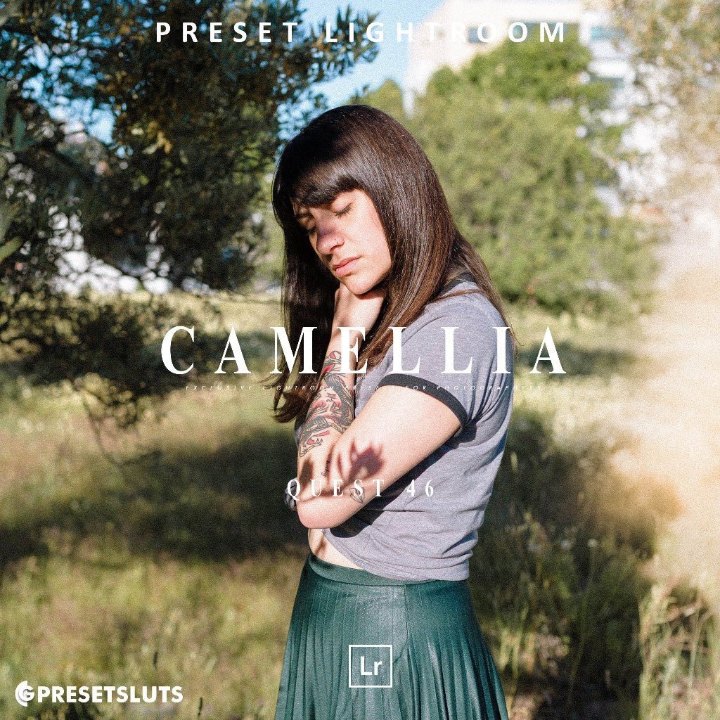 Archipelago - QUEST 46 CAMELLIA Lightroom Presets Desktop Android - MICHIGO STUDIO