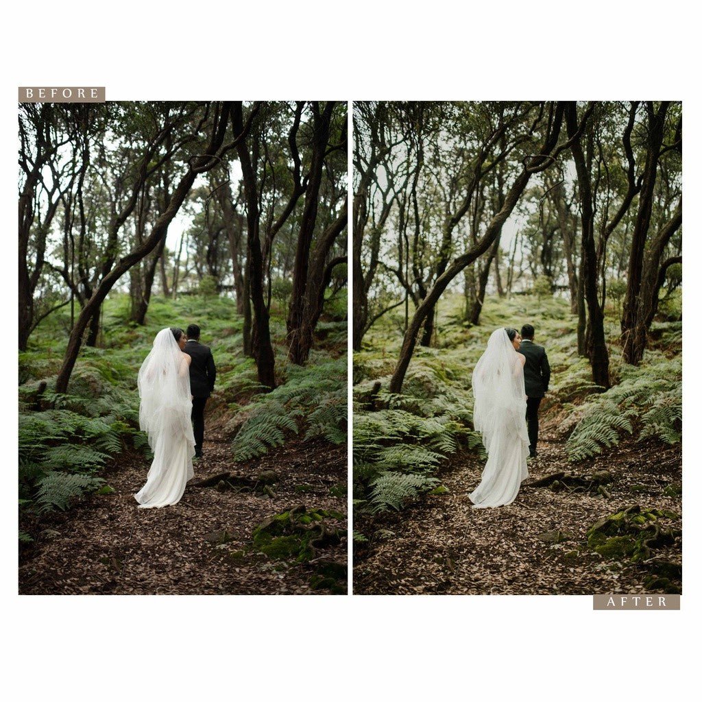 Archipelago REDWOOD Lightroom Presets[ MICHIGO STUDIO ] - MICHIGO STUDIO