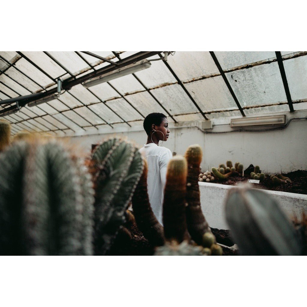 Archipelago WAYFARER Lightroom Presets[ MICHIGO STUDIO ] - MICHIGO STUDIO