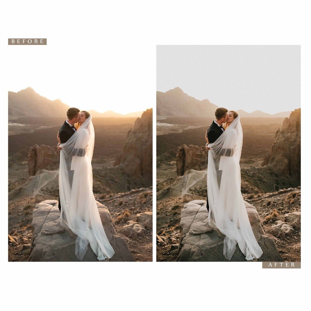 Archipelago - Wolf Pack Rewild Lightroom Presets[ MICHIGO STUDIO ] - MICHIGO STUDIO