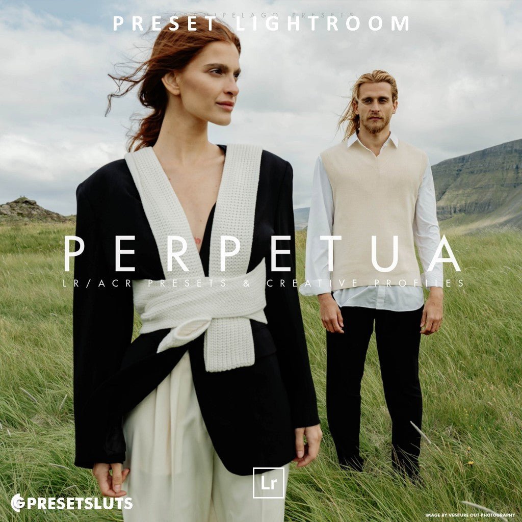 Archipleago - Perpetua LR/ACR Presets + Profiles Lightroom Presets Desktop Android[ MICHIGO STUDIO ] - MICHIGO STUDIO