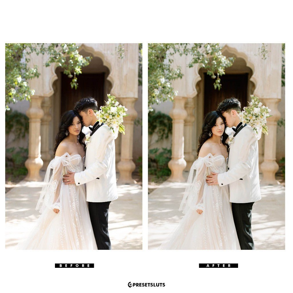 Archipleago - Perpetua LR/ACR Presets + Profiles Lightroom Presets Desktop Android[ MICHIGO STUDIO ] - MICHIGO STUDIO