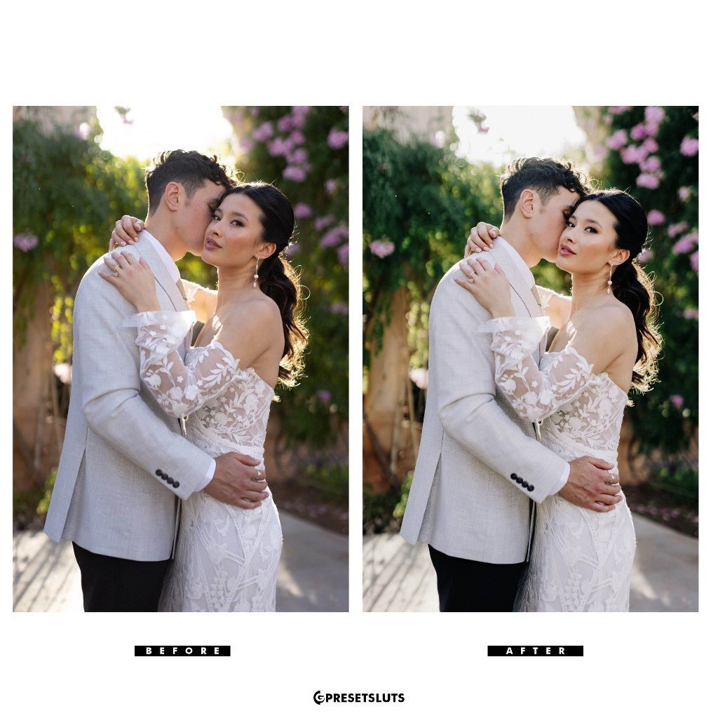 Archipleago - Perpetua LR/ACR Presets + Profiles Lightroom Presets Desktop Android[ MICHIGO STUDIO ] - MICHIGO STUDIO
