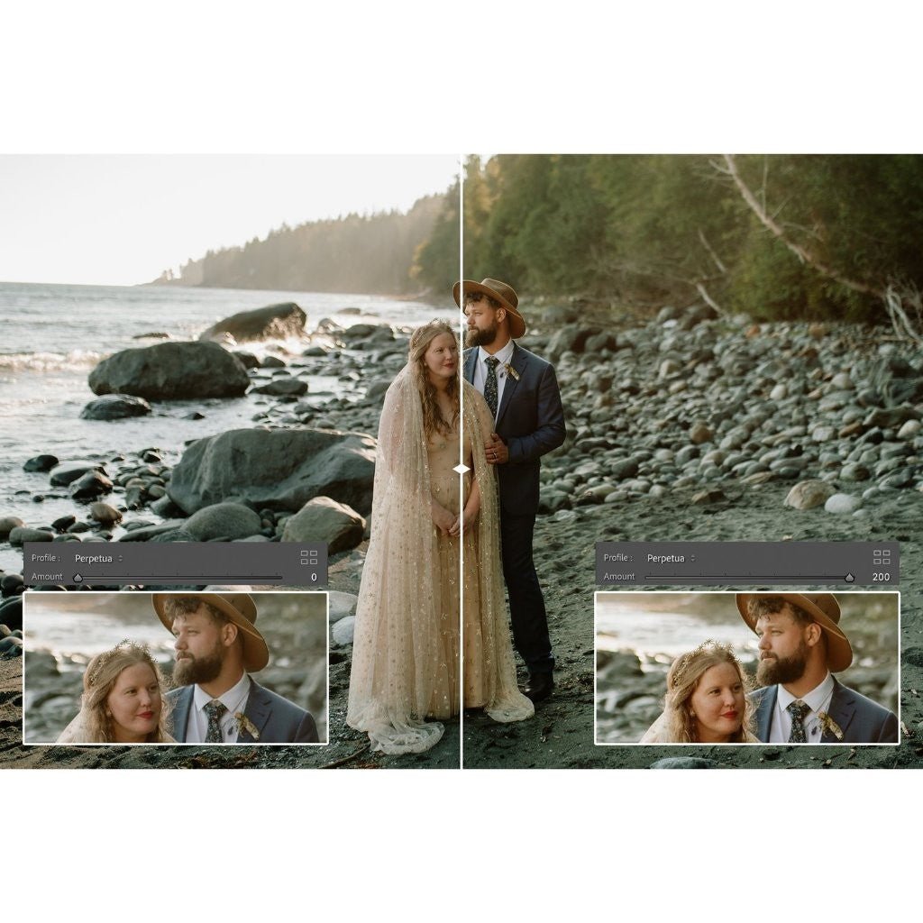 Archipleago - Perpetua LR/ACR Presets + Profiles Lightroom Presets Desktop Android[ MICHIGO STUDIO ] - MICHIGO STUDIO
