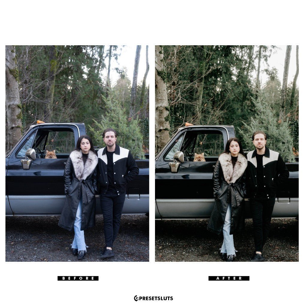 Archipleago - Perpetua LR/ACR Presets + Profiles Lightroom Presets Desktop Android[ MICHIGO STUDIO ] - MICHIGO STUDIO