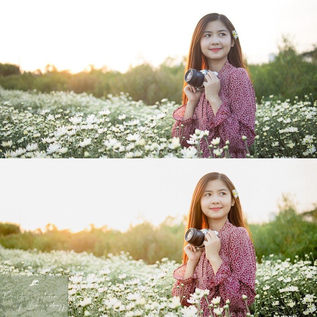 Athena Colorlabs - Presets Green Summer For Lightroom (Desktop/Mobile) & Photoshop (ACR)[ MICHIGO STUDIO ] - MICHIGO STUDIO