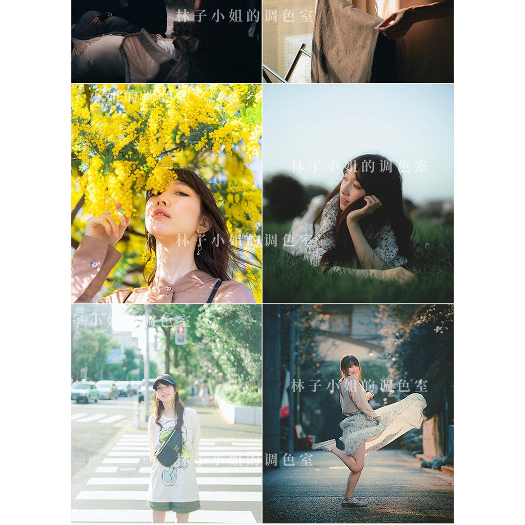 📸 AUXOUT Japan LUT – Sony SLOG2 / SLOG3 / HLG Vlog Film Look for YouTube Creators 🎬✨ - MICHIGO STUDIO