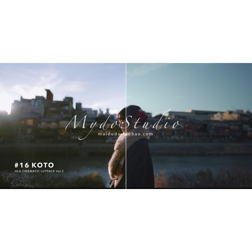 📸 AUXOUT Vlog LUT Pack 634 – Sony SLOG2 / SLOG3 / HLG Soft Japanese Travel Look for Vloggers ✈️🌸 - MICHIGO STUDIO