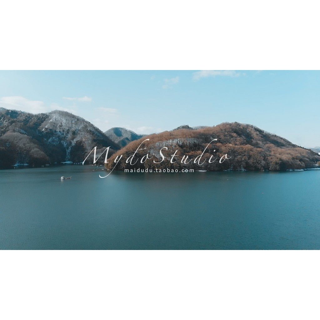 📸 AUXOUT Vlog LUT Pack 634 – Sony SLOG2 / SLOG3 / HLG Soft Japanese Travel Look for Vloggers ✈️🌸 - MICHIGO STUDIO