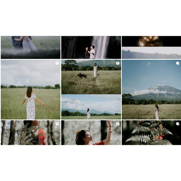 AYP CINEMA PRESET AND LUTS for WEDDING PREWEDDING DLL