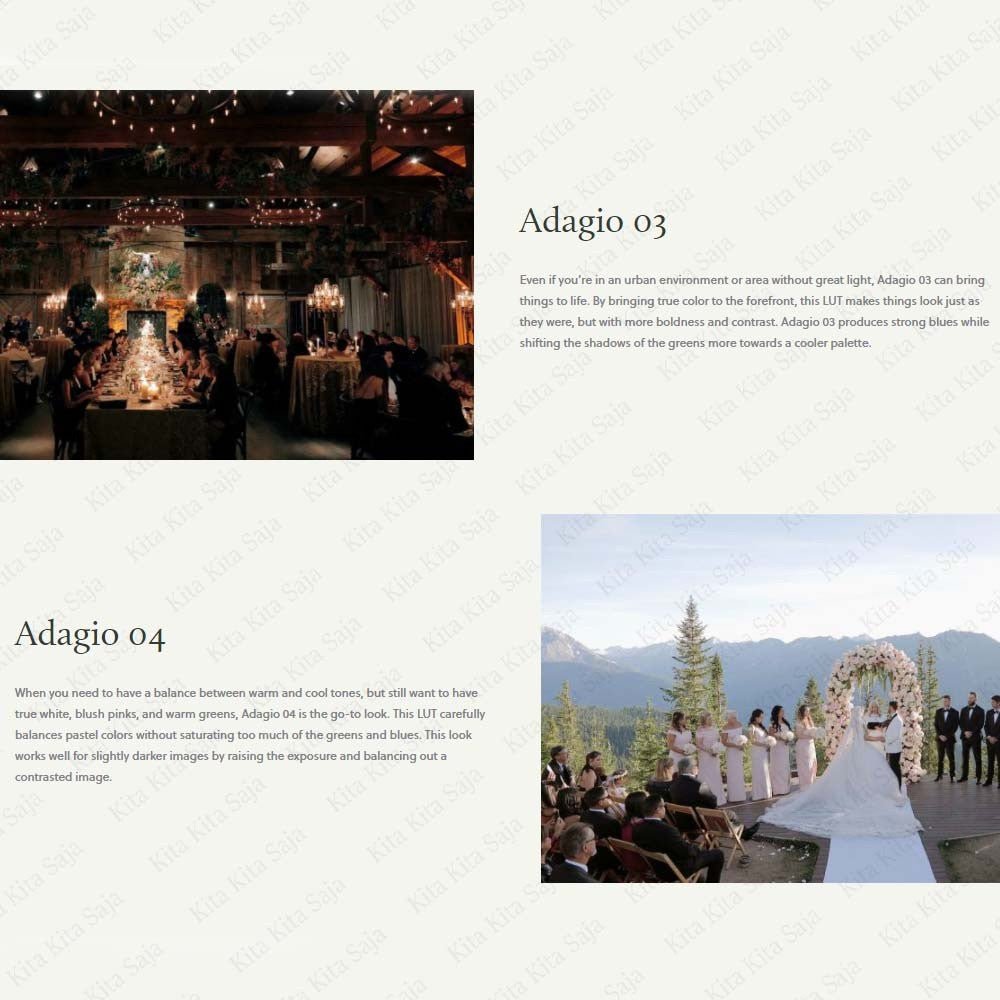 (BISA VN) White in Revery - Adagio Original Fine Art Wedding Video LUTs untuk VN Premiere Pro Davinci Resolve | Android - MICHIGO STUDIO