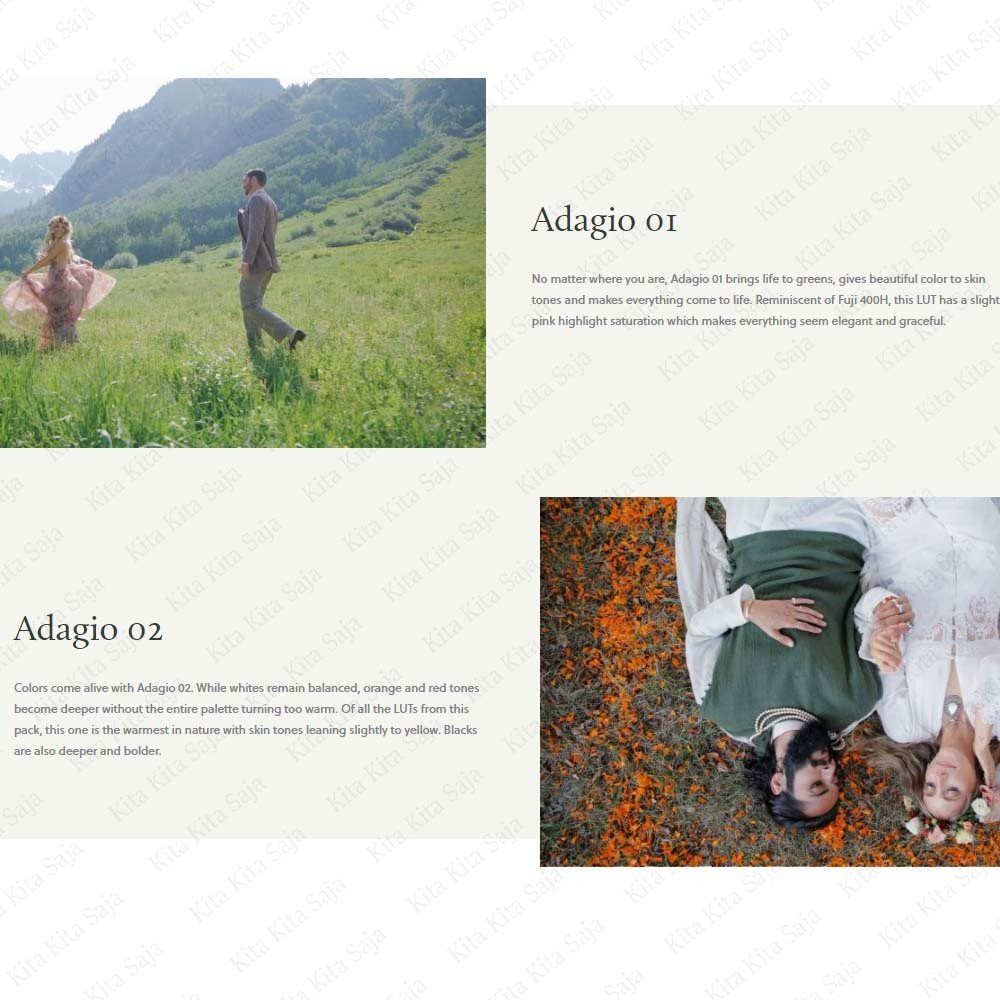(BISA VN) White in Revery - Adagio Original Fine Art Wedding Video LUTs untuk VN Premiere Pro Davinci Resolve | Android - MICHIGO STUDIO