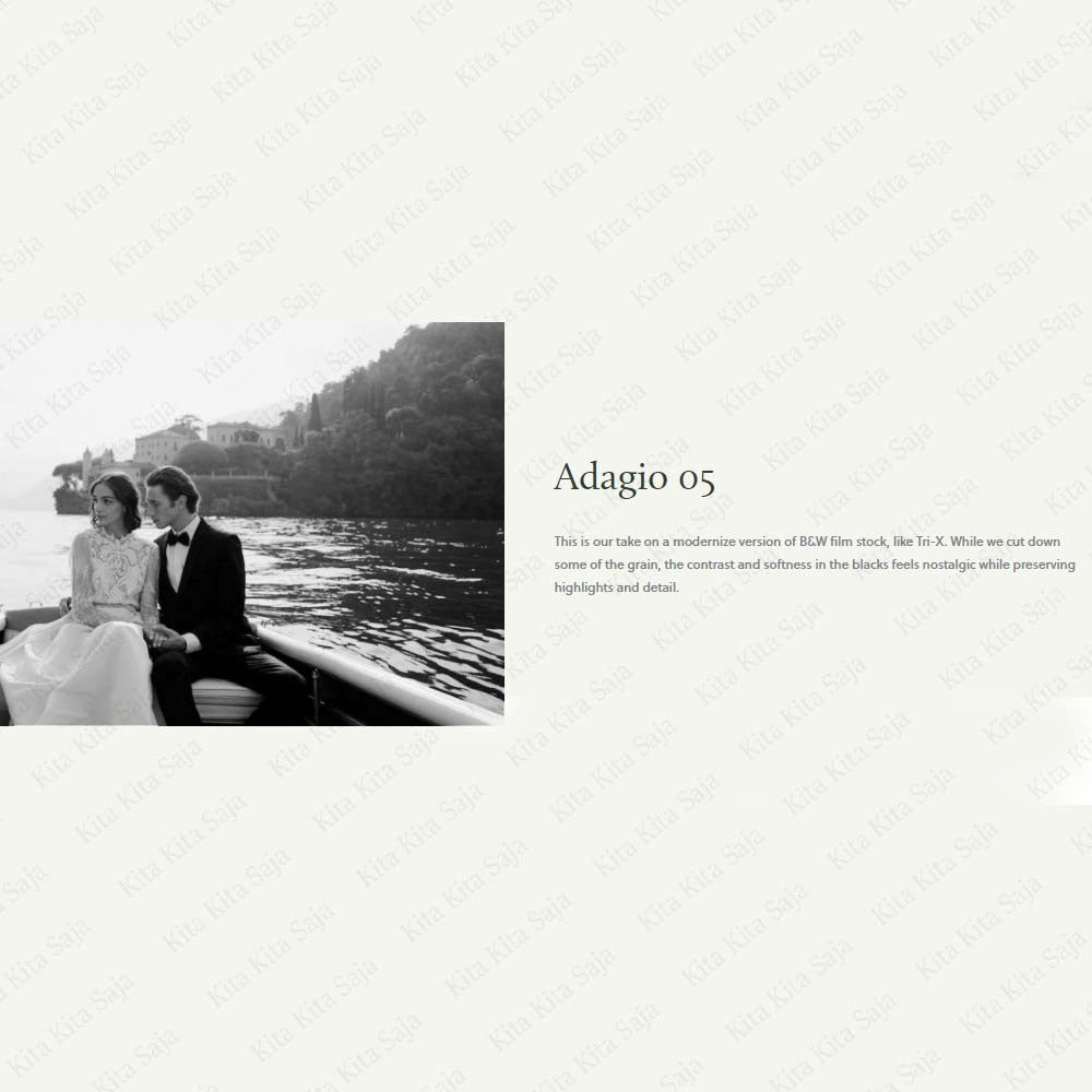 (BISA VN) White in Revery - Adagio Original Fine Art Wedding Video LUTs untuk VN Premiere Pro Davinci Resolve | Android - MICHIGO STUDIO