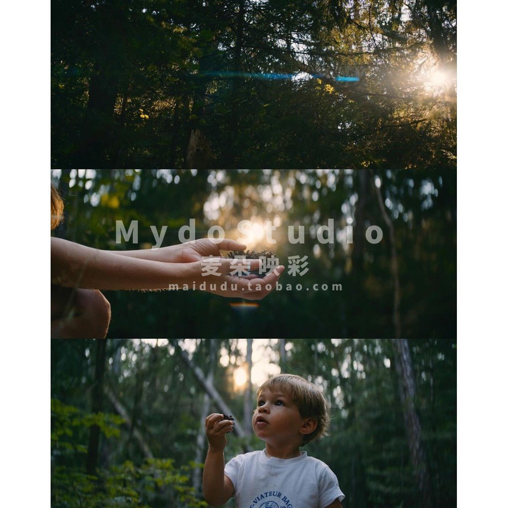 🎥 BMPCC Phantom LUTs 🎞️ ARRI - Style Film Color Grading for PR / CapCut / FCPX / DaVinci [ MICHIGO STUDIO ] - MICHIGO STUDIO