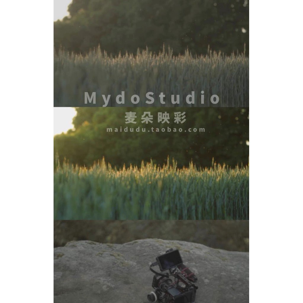 🎞️ BMPCC/BMCC 4K~6KPro BMDFilm LUTs 🎬 Gray to Color Restore Grading Pack [ MICHIGO STUDIO ] - MICHIGO STUDIO