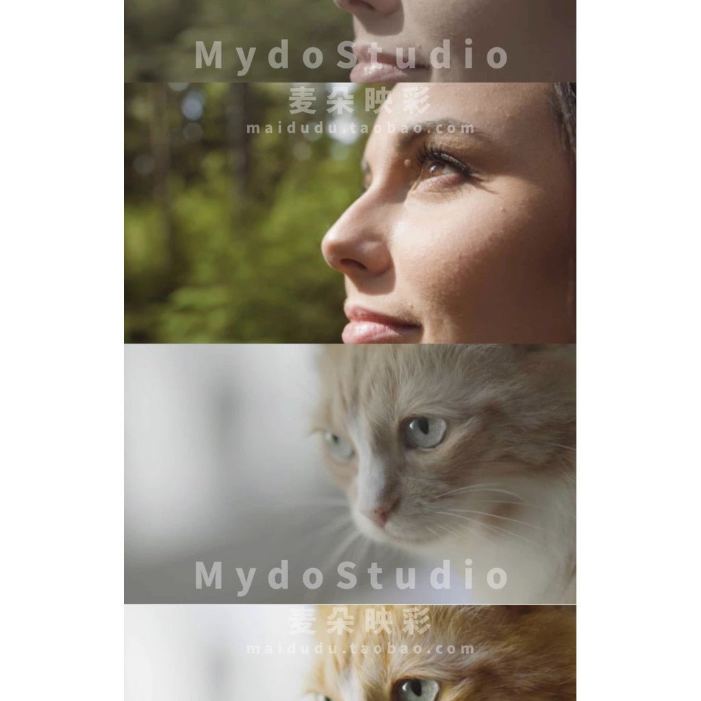 🎞️ BMPCC/BMCC 4K~6KPro BMDFilm LUTs 🎬 Gray to Color Restore Grading Pack [ MICHIGO STUDIO ] - MICHIGO STUDIO