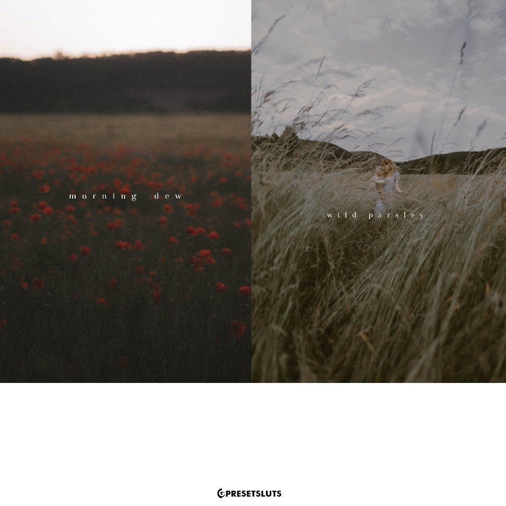 Calm & Quiet - Preset Package Lightroom Desktop & Mobile iOS Android[ MICHIGO STUDIO ] - MICHIGO STUDIO