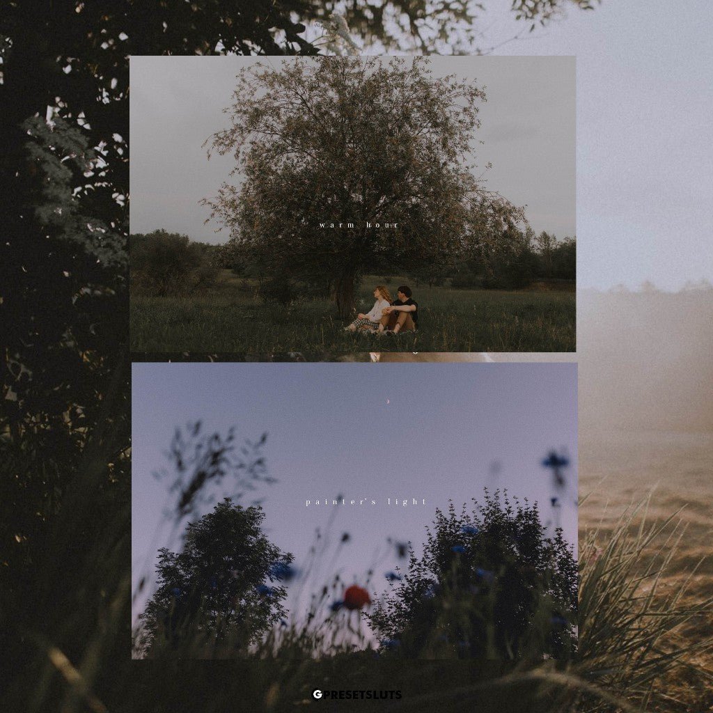 Calm & Quiet - Preset Package Lightroom Desktop & Mobile iOS Android[ MICHIGO STUDIO ] - MICHIGO STUDIO