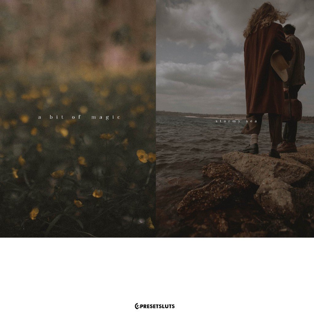 Calm & Quiet - Preset Package Lightroom Desktop & Mobile iOS Android[ MICHIGO STUDIO ] - MICHIGO STUDIO