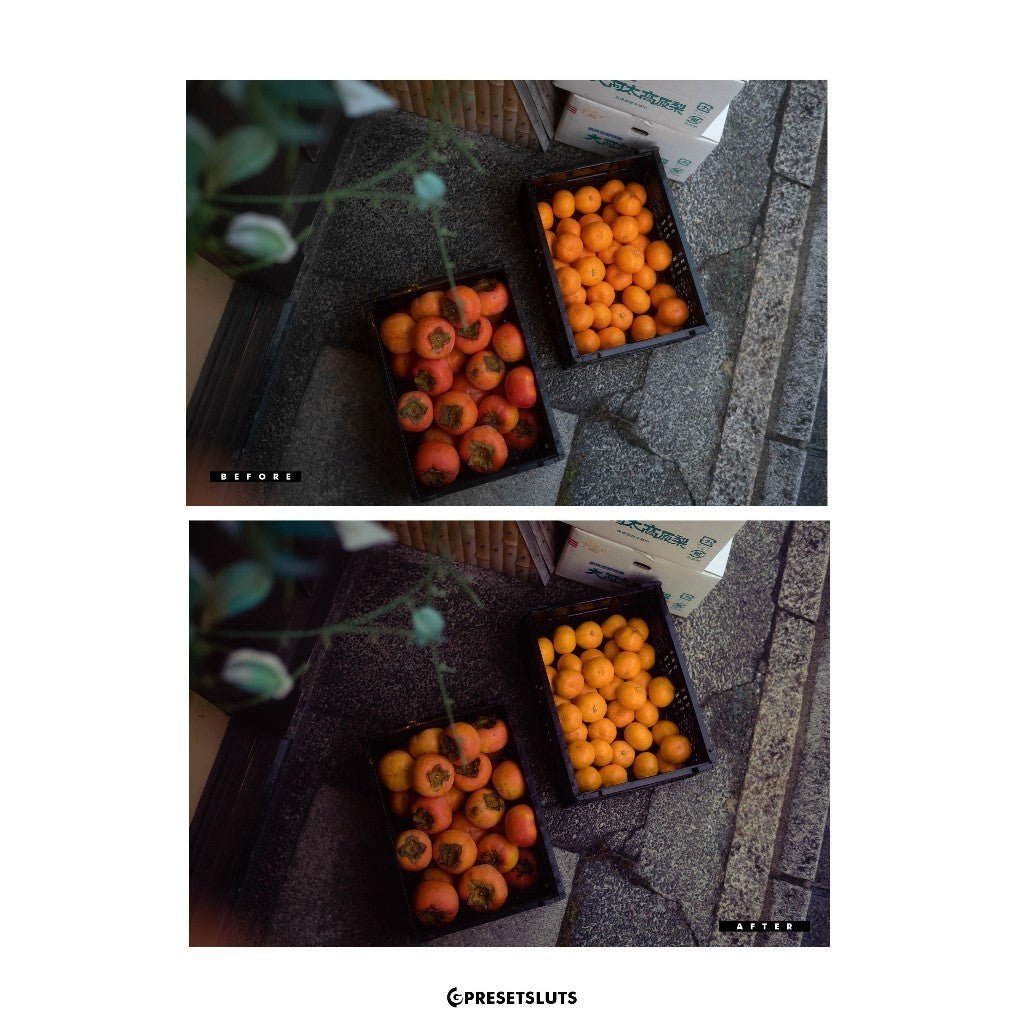 Cinematic Stills - TOKYO STILLS Lightroom Preset Mobile Desktop iOS Android[ MICHIGO STUDIO ] - MICHIGO STUDIO