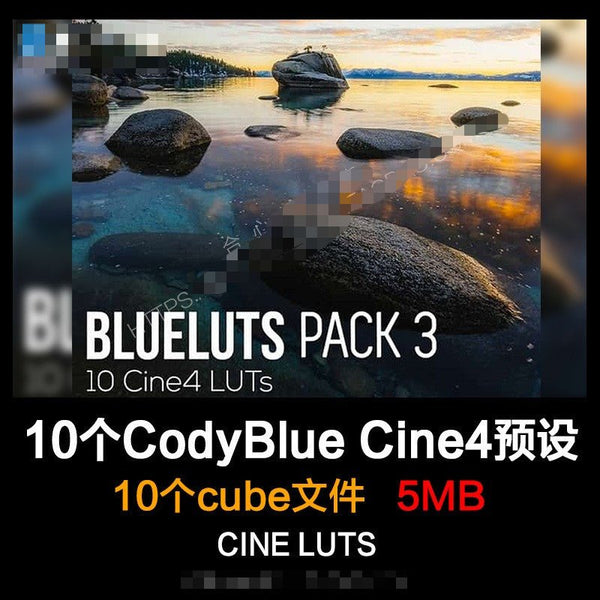 🎞️ CodyBlue CINE4 LUT Pack Vol.3 – Sony Vlog & Cinematic Presets for PR / FCPX 📹🎬