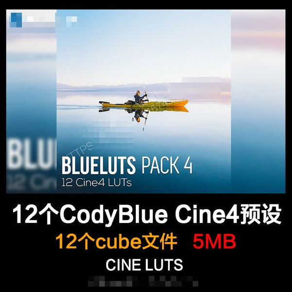 🎞️ CodyBlue LUT Pack – 12 Cinematic Sony CINE4 Color Presets for PR / FCPX 🎬📷