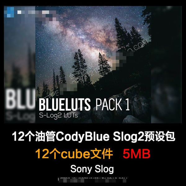 🎞️ CodyBlue SLOG2 LUT Pack – Sony Cinematic Color Grading Presets for PR / FCPX 🎬📷
