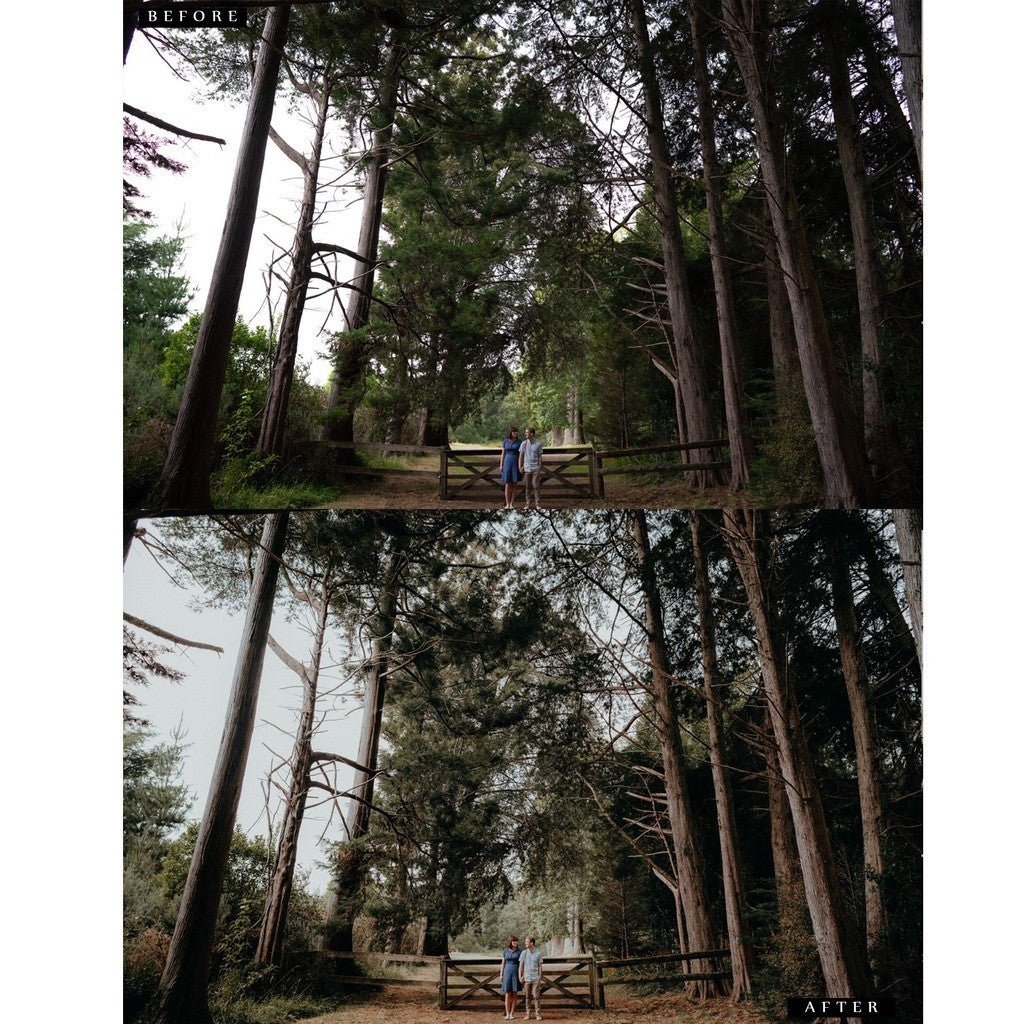 CTM Preset Pack - Version 1 & 2 Lightroom Preset Desktop IOS Android - MICHIGO STUDIO