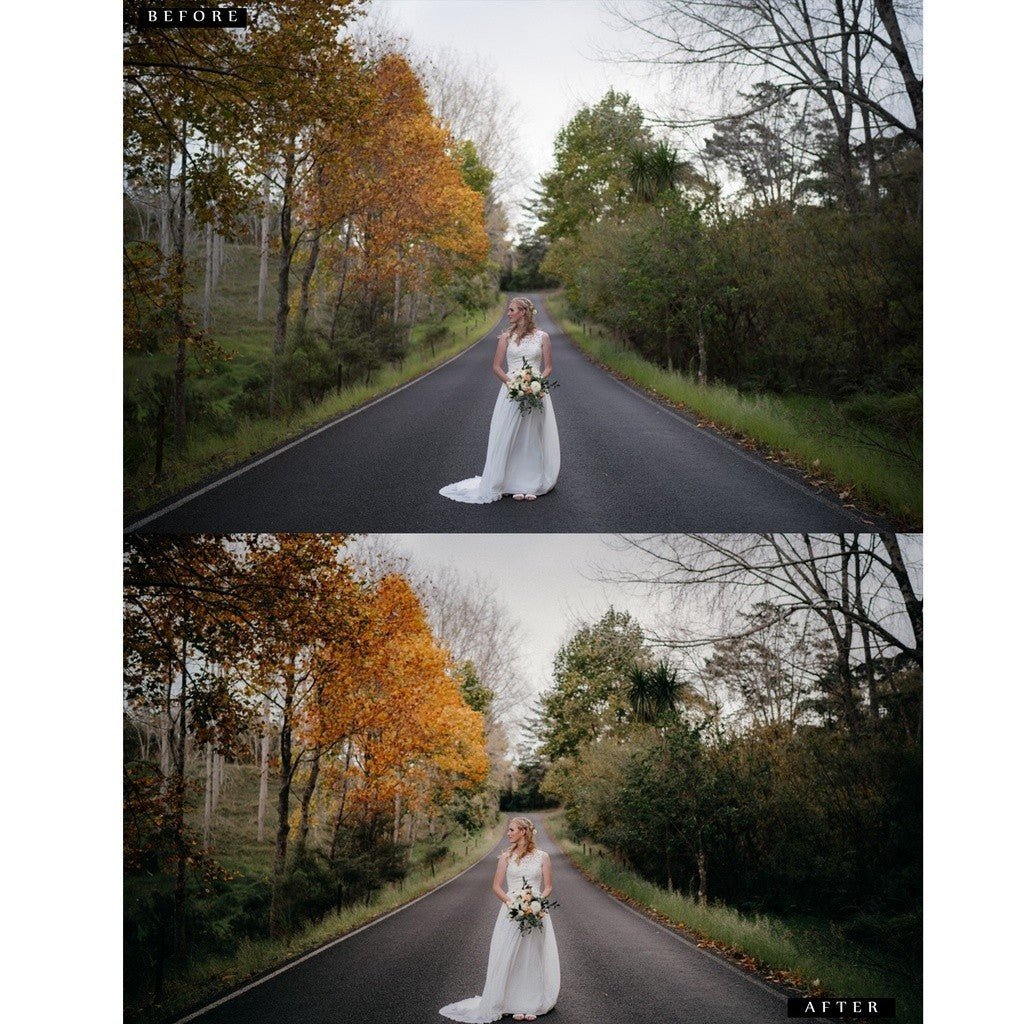 CTM Preset Pack - Version 1 & 2 Lightroom Preset Desktop IOS Android - MICHIGO STUDIO