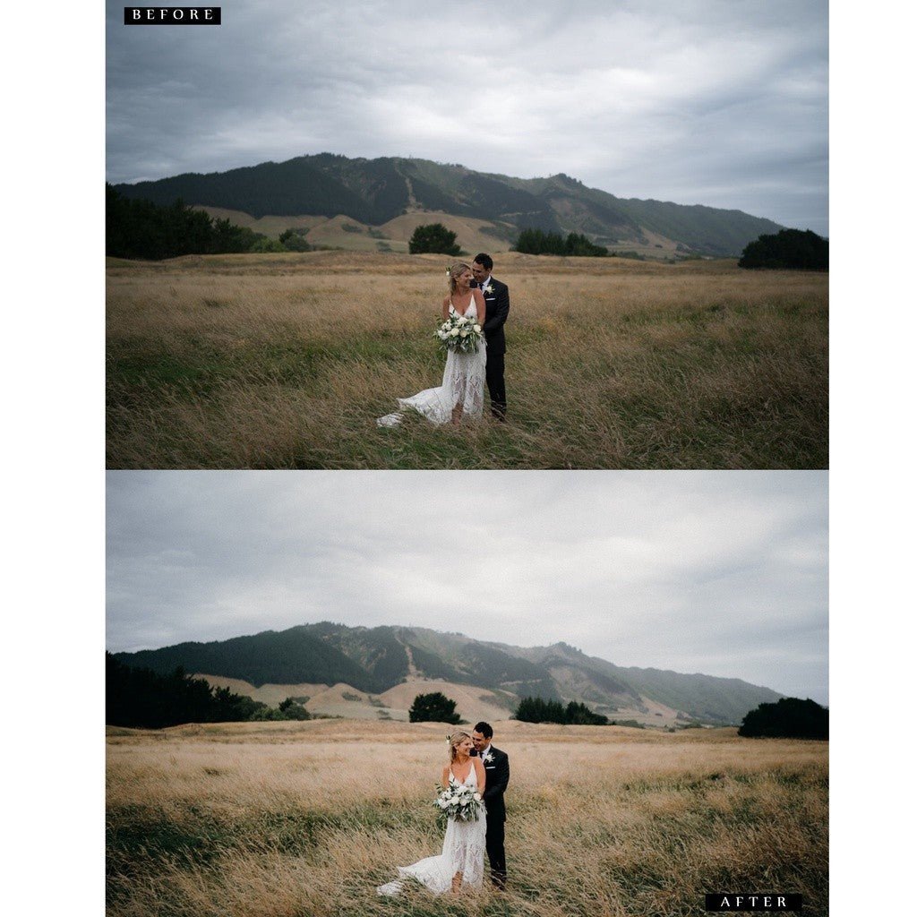 CTM Preset Pack - Version 1 & 2 Lightroom Preset Desktop IOS Android - MICHIGO STUDIO