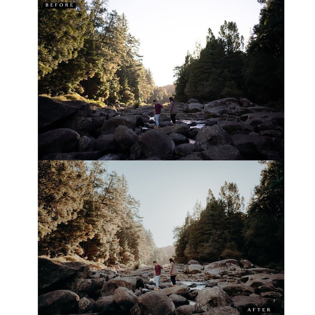 CTM Preset Pack - Version 1 & 2 Lightroom Preset Desktop IOS Android - MICHIGO STUDIO