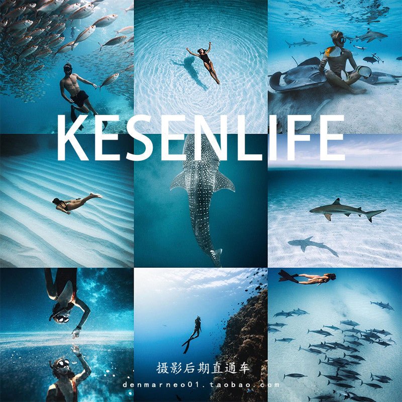📸 Diving Cold Blue Tone – Lightroom Preset, FCPX, DaVinci LUT, Mobile, Island, Beach, Filter, PS - MICHIGO STUDIO
