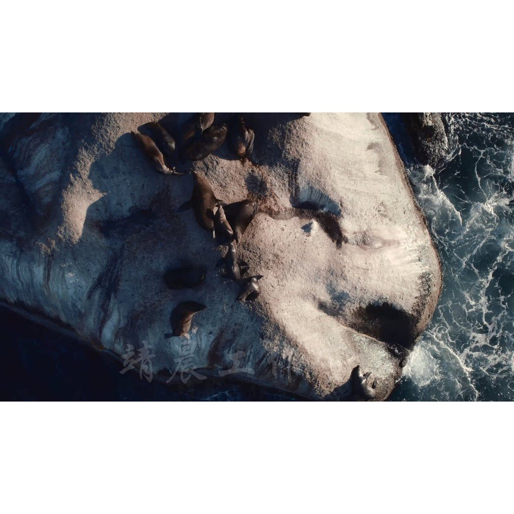 🛸 DJI AIR 2S – Aerial Cinematic LUTs 🎞️ Drone Color Grading Preset Pack - MICHIGO STUDIO