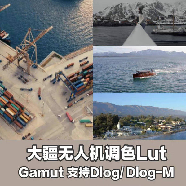 🚁 DJI D-LOG & DLOG-M LUTs – Air3 & Mavic3 + 31 Styles