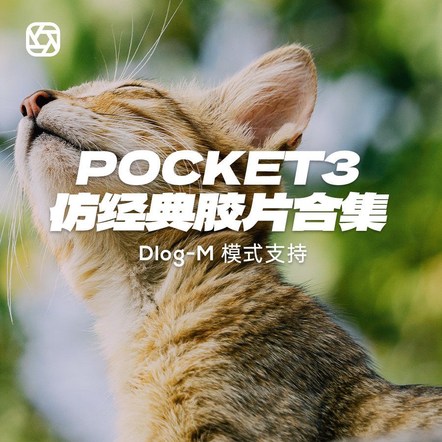 🎥 DJI Pocket 3 LUTs | Kodak 2383 + Fuji CN Film Look D - LogM CapCut Grade 🎞️ - MICHIGO STUDIO